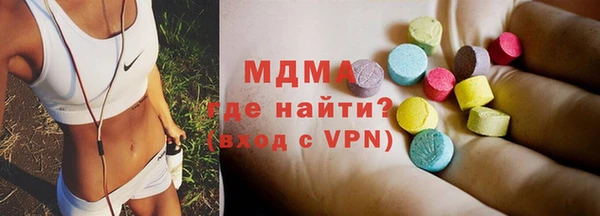 прущие грибы Горняк