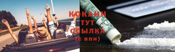 прущие грибы Горняк