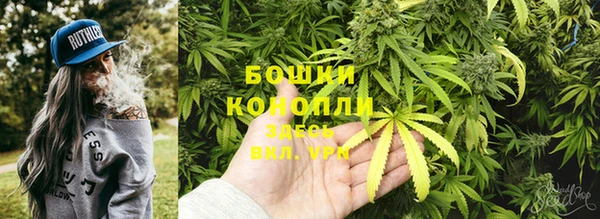 прущие грибы Горняк