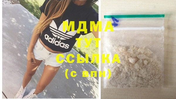 прущие грибы Горняк