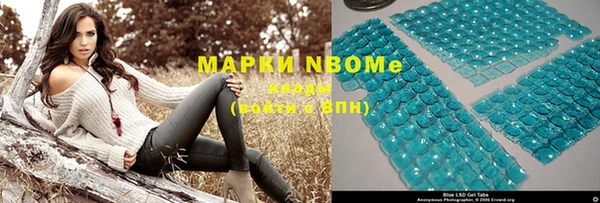 прущие грибы Горняк