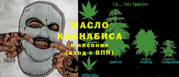 прущие грибы Горняк