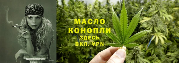 прущие грибы Горняк