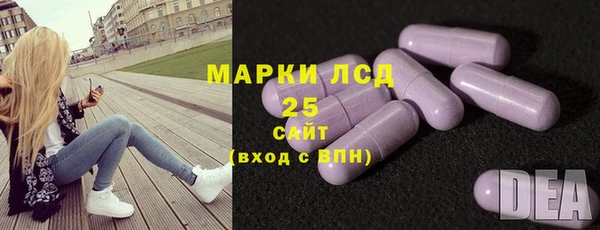 прущие грибы Горняк